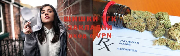 гидра Арсеньев