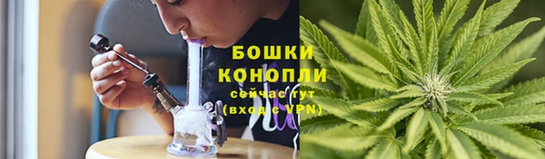 каннабис Аркадак