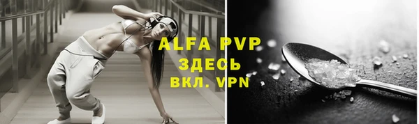 гидра Арсеньев