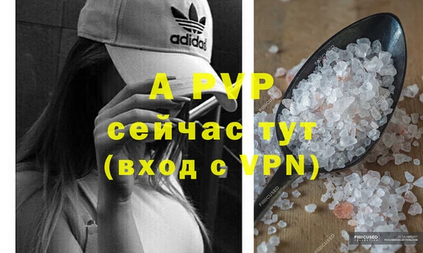 гидра Арсеньев