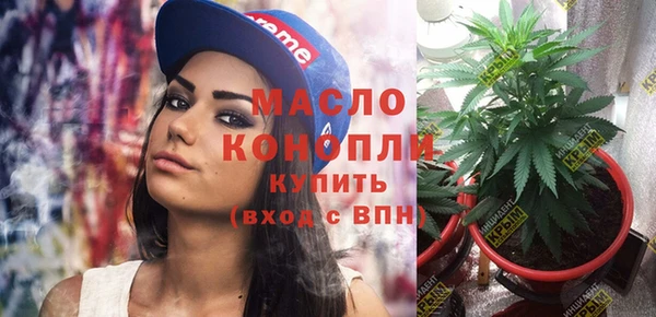 гидра Арсеньев