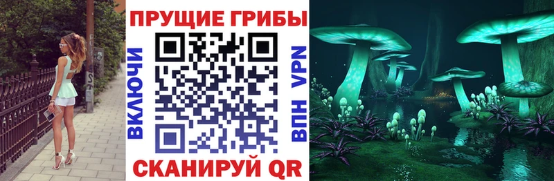 площадка как зайти  Рославль  Галлюциногенные грибы GOLDEN TEACHER 